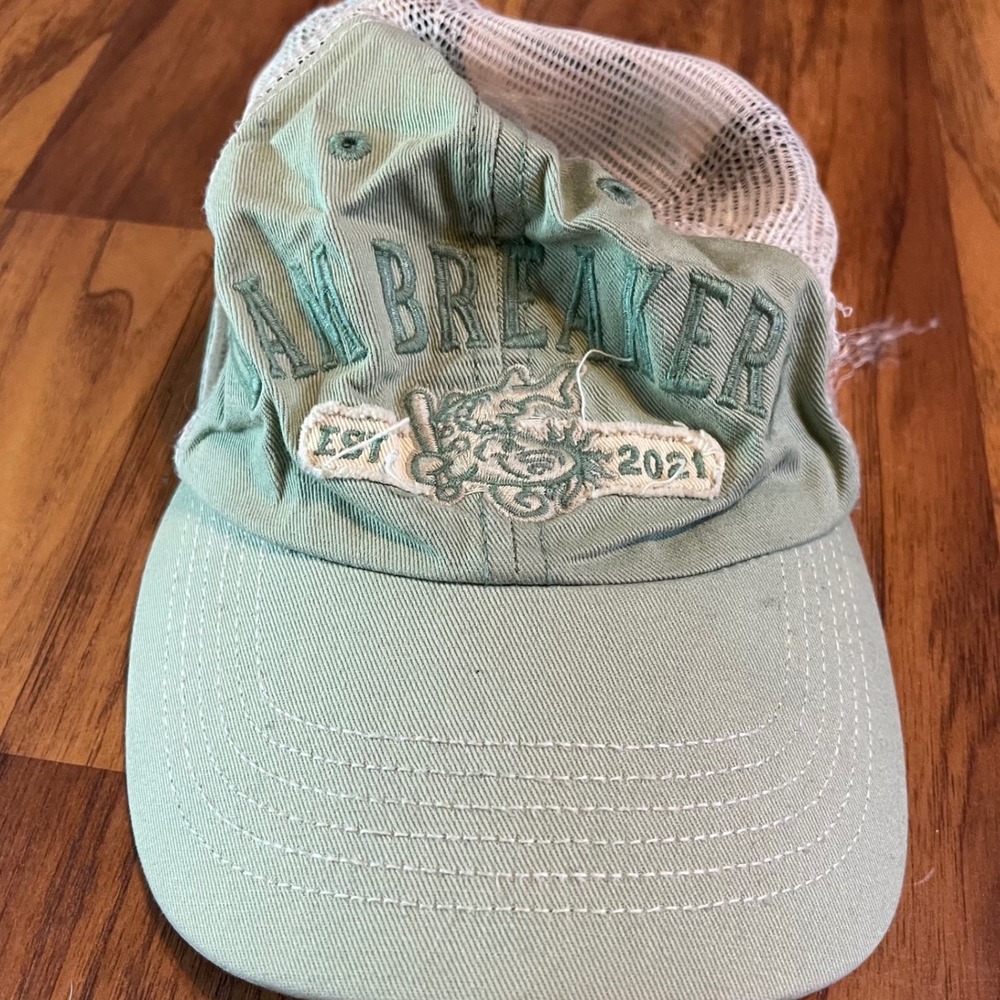 47 Brand Dam Breakers MiLB Trucker Hat Mens OSFM Sage Green Distressed Snapback